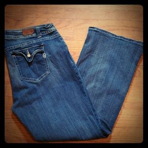 Vigoss 22 Plus Jeans Destroyed Bootcut